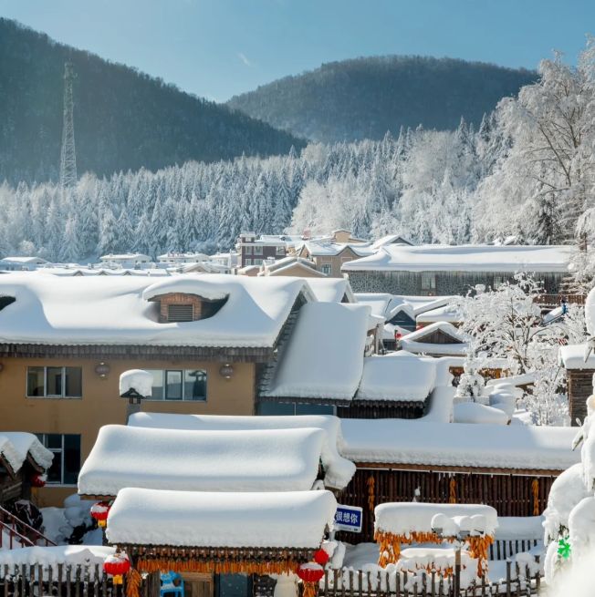 十：远胜游服务天花板零投诉认证领跑AG真人国际2025哈尔滨旅行社前(图1)